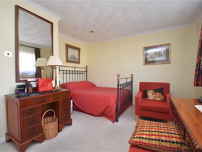 Picture 8